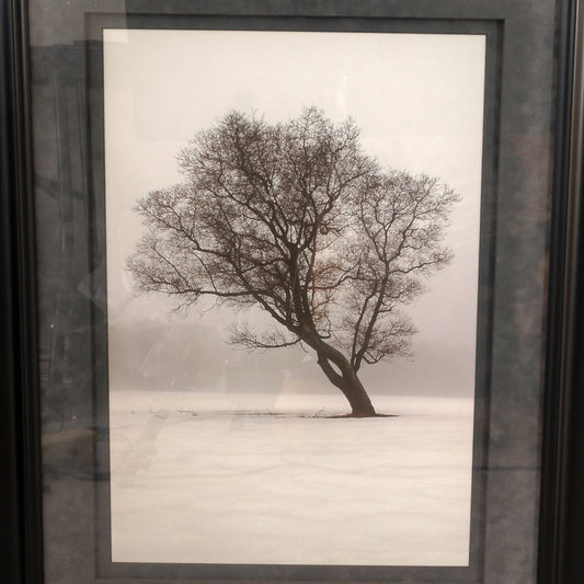 Large Black & White Photograph (12 x 19) Winter's Mist #460 by Dave Reinhard - Bear and Raven Antiques