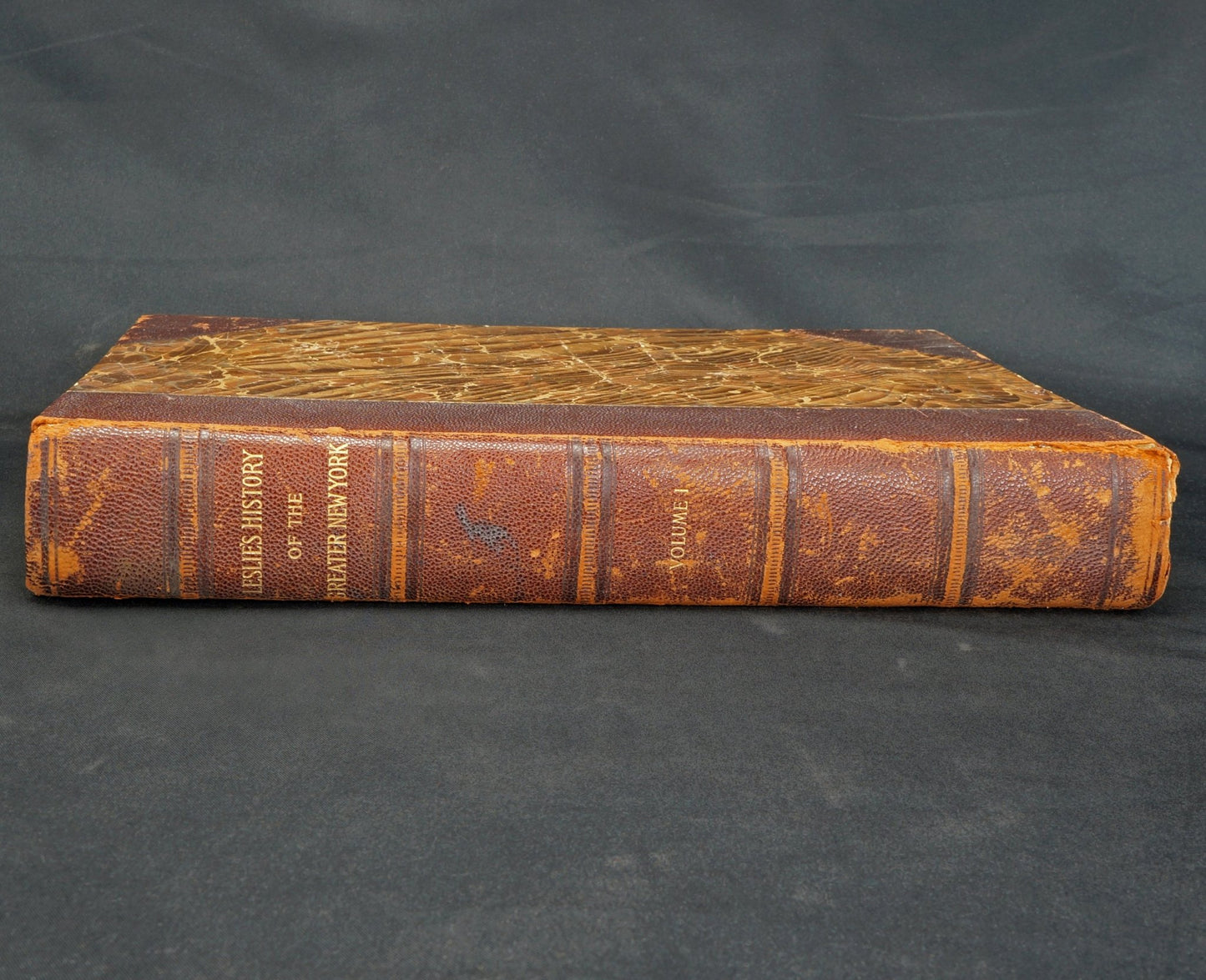 Leslie's History of the Greater New York, Vol. 1 by Daniel Van Pelt - 1898 - Bear and Raven Antiques