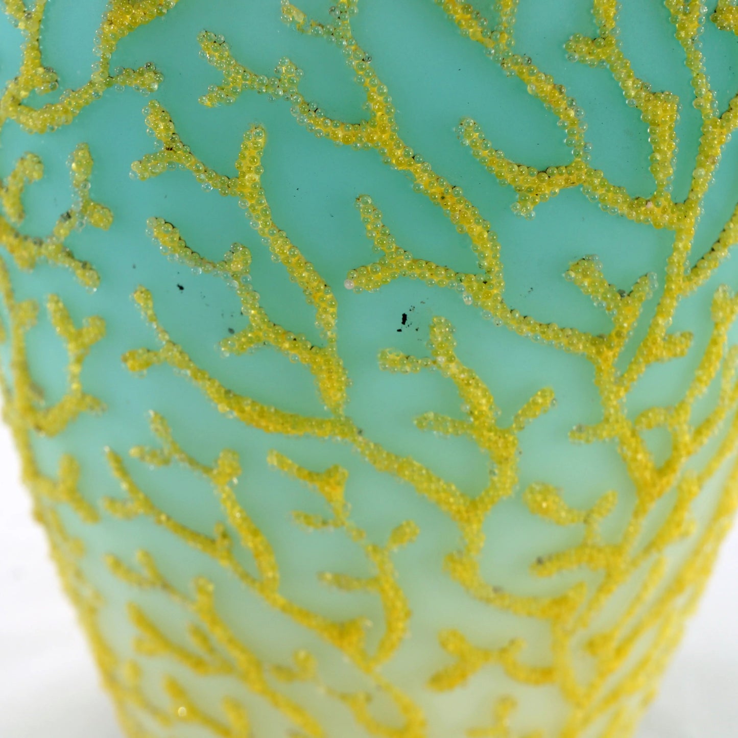 Victorian Coraline Glass Vase Coral Design on Turquoise Late 19th Century - Bear and Raven Antiques