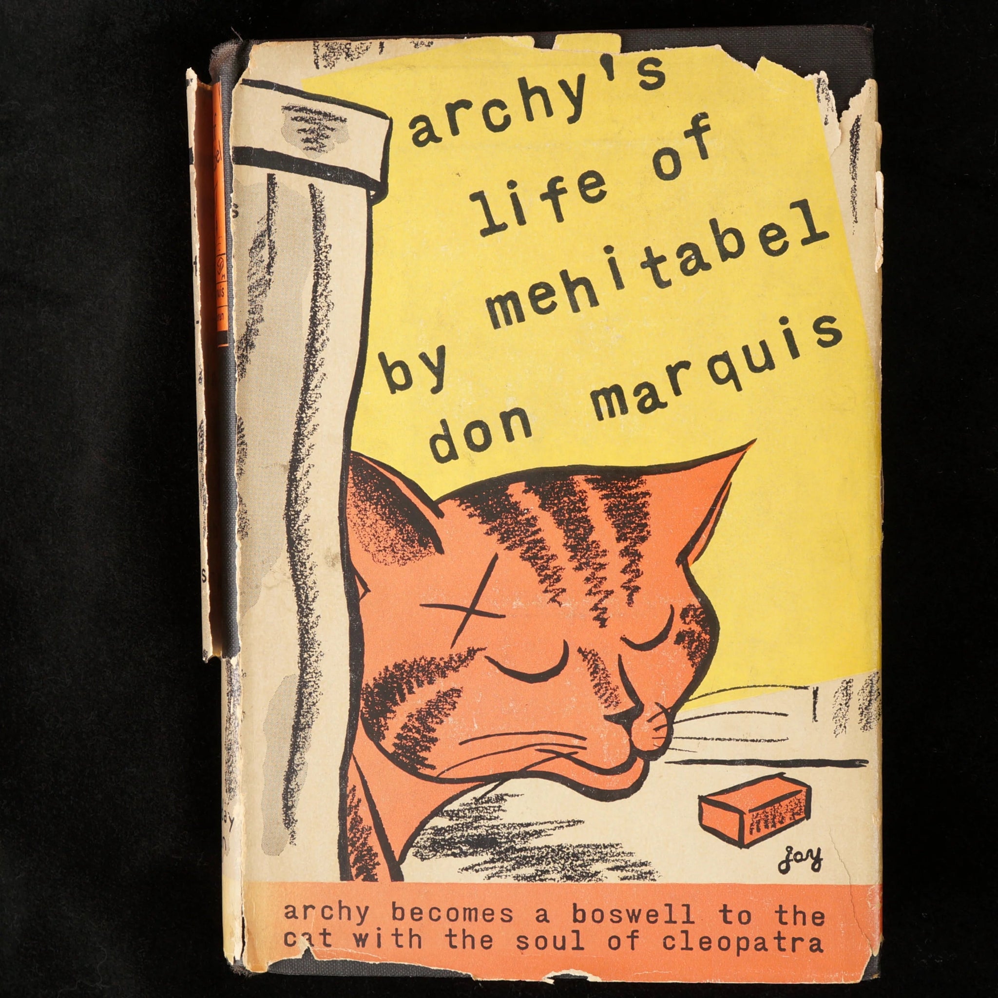 Archy's Life of Mehitabel, Don Marquis, First Edition – Bear and Raven ...