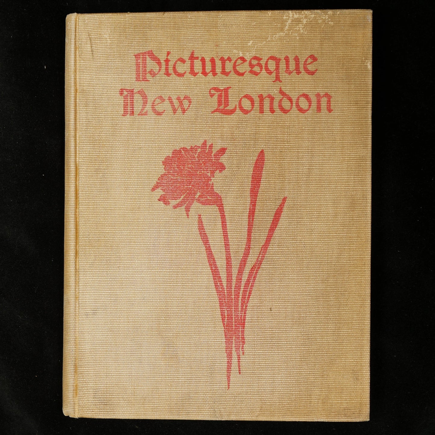 Picturesque New London (at the Commencement of the 20th C), 1901 - 1st Edition - Bear and Raven Antiques