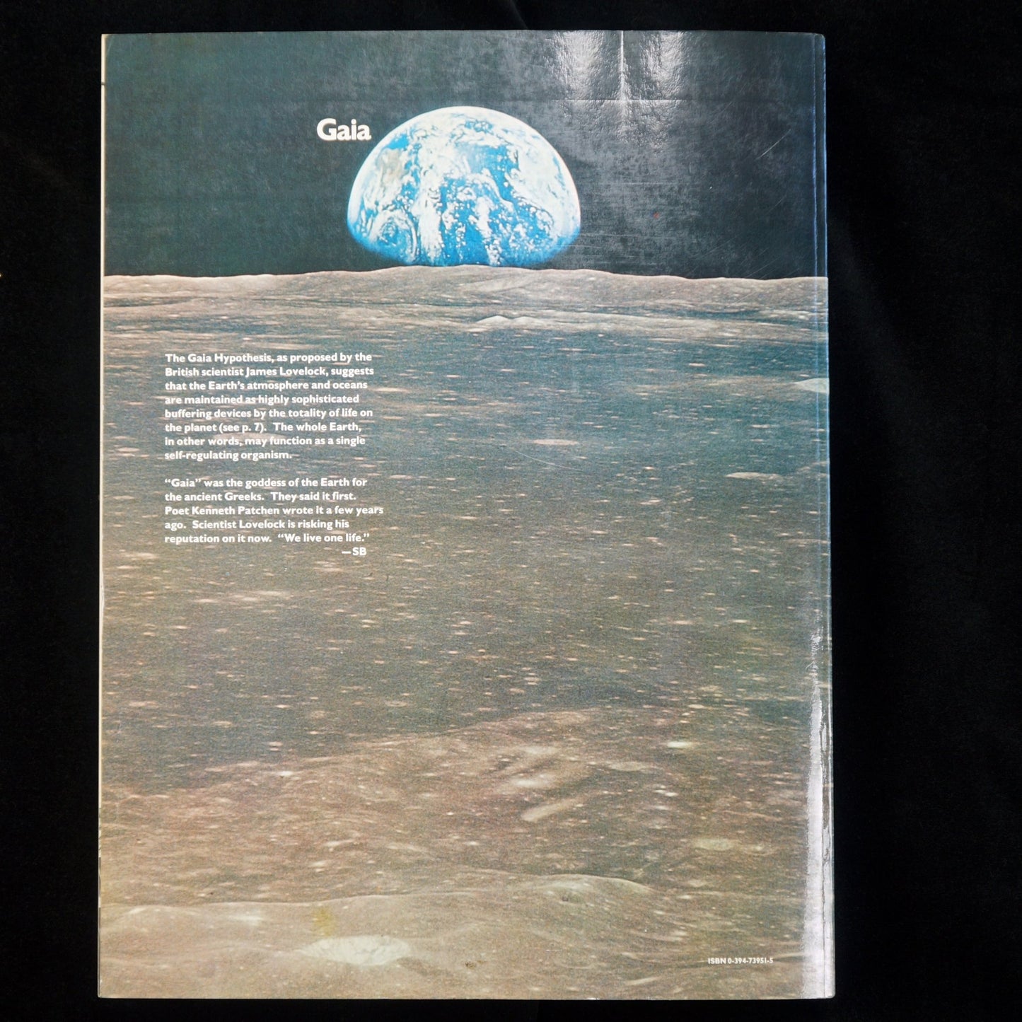 THE NEXT Whole Earth Catalog Access To Tools 1980 1st Edition & 1st Printing - Bear and Raven Antiques